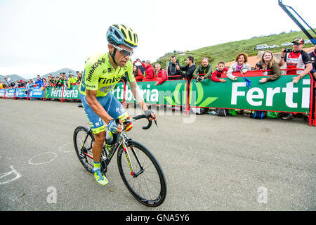 Covadonga, Spanien. 29. August 2016. Alberto Contdor (Tinkoff) beendet die 10. Etappe der Radrennen "La Vuelta a España" (Spanien-Rundfahrt) zwischen Lugones und Seen von Covadonga am 29. August 2016 in Covadonga, Spanien. Bildnachweis: David Gato/Alamy Live-Nachrichten Stockfoto