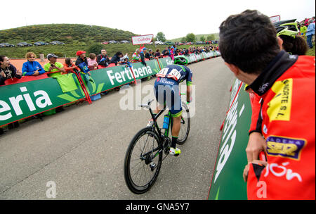 Covadonga, Spanien. 29. August 2016. Esteban Chaves (Orica Bikeexchange) endet die 10. Etappe des Radrennen "La Vuelta a España" (Spanien-Rundfahrt) zwischen Lugones und Seen von Covadonga am 29. August 2016 in Covadonga, Spanien. Bildnachweis: David Gato/Alamy Live-Nachrichten Stockfoto