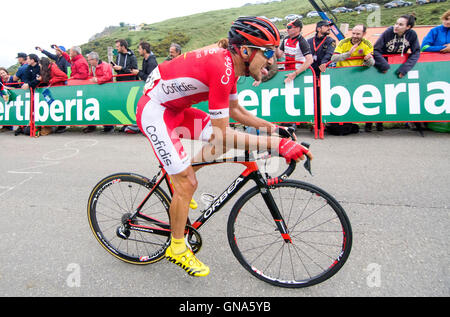 Covadonga, Spanien. 29. August 2016. Luis Angel Mate (Cofidis) beendet die 10. Etappe der Radrennen "La Vuelta a España" (Spanien-Rundfahrt) zwischen Lugones und Seen von Covadonga am 29. August 2016 in Covadonga, Spanien. Bildnachweis: David Gato/Alamy Live-Nachrichten Stockfoto