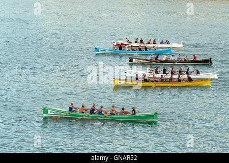 Traditionelle Cornish Pilot Gigs zu Beginn des Rennens in Newquay, Cornwall. Stockfoto