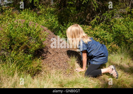 Kind blondes Mädchen Erkundung und Studium der Ameisenhaufen im Wald. Stockfoto
