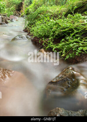 Rock in einen Stream, wo das Wasser durch die Verwendung einer langen Verschlusszeit unscharf ist Stockfoto