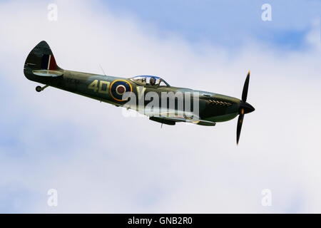 Vickers Supermarine MK LEXVIE Spitfire 4 DV-TE311 im Flug über Breighton Flugplatz Stockfoto