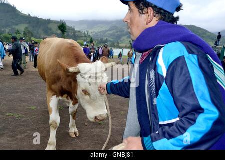 Wetten Stierkampf - landwirtschaftliche Messe - Fiestas Det la Virgen del Carmen (Independence Day) in Sapalache - PERU Stockfoto