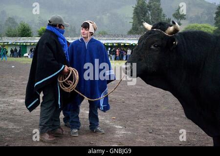 Wetten Stierkampf - landwirtschaftliche Messe - Fiestas Det la Virgen del Carmen (Independence Day) in Sapalache - PERU Stockfoto