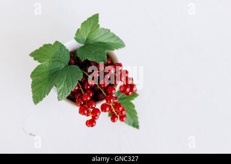 Frische Johannisbeeren in Einer Schale Angerichtet - frische Johannisbeeren in eine Schüssel geben Stockfoto