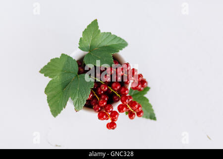 Frische Johannisbeeren in Einer Schale Angerichtet - frische Johannisbeeren in eine Schüssel geben Stockfoto