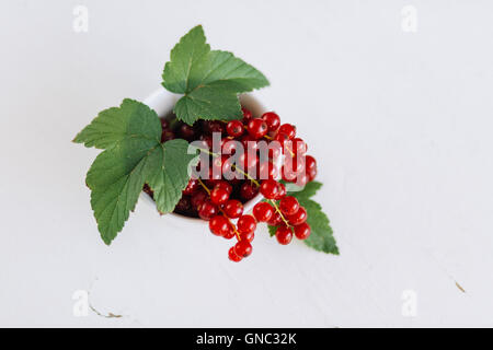 Frische Johannisbeeren in Einer Schale Angerichtet - frische Johannisbeeren in eine Schüssel geben Stockfoto