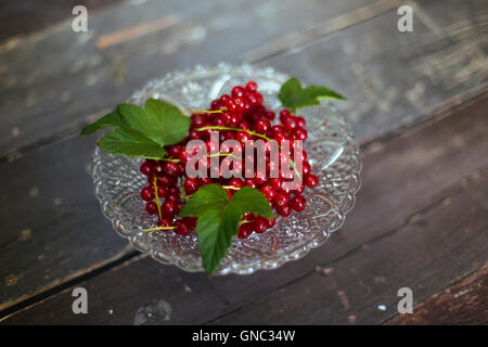 Frische Johannisbeeren in Einer Schale Angerichtet - frische Johannisbeeren in eine Schüssel geben Stockfoto