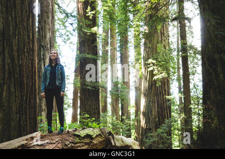 Junge Frau auf umgestürzten Baumstamm, Stout Grove, Jedediah Smith Redwoods State Park, Kalifornien, USA Stockfoto