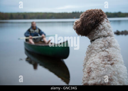 Hundesitting an Deck mit Mann im Kanu auf dem See im Hintergrund Stockfoto