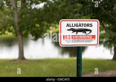 Alligator Warnschild in Florida für das Bewusstsein der drohenden Gefahr. Scharf, isoliert, um für dramatische Auswirkungen zu unterzeichnen. Stockfoto