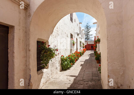 Durchgang, gesäumt von roten Geranien, betrachtet durch einen weißen Bogen, Santa Catalina Convent in Arequipa, Peru Stockfoto