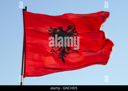 Die albanische Flagge. Stockfoto