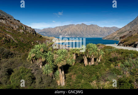 Sicht auf einem Felsgrat namens The Neck steht an ihrer engsten Stelle zwischen Lake Wanaka und Lake Hawea Stockfoto