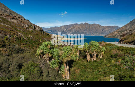 Sicht auf einem Felsgrat namens The Neck steht an ihrer engsten Stelle zwischen Lake Wanaka und Lake Hawea Stockfoto