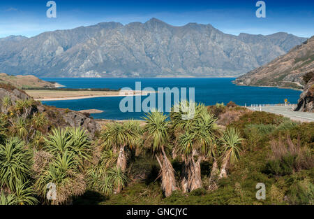 Sicht auf einem Felsgrat namens The Neck steht an ihrer engsten Stelle zwischen Lake Wanaka und Lake Hawea Stockfoto