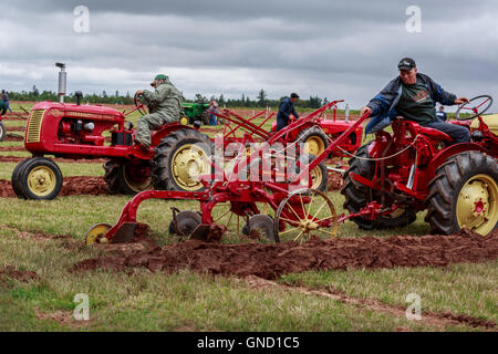 Prince Edward Island, Kanada, Aug 27,2016. Konkurrenten auf der Prince Edward Insel Pflügen Match & Landwirtschaftsmesse Stockfoto