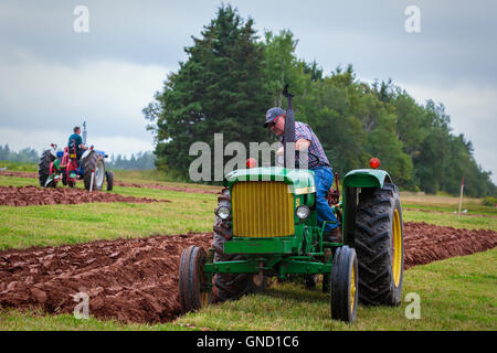 Prince Edward Island, Kanada, Aug 27,2016. Konkurrenten auf der Prince Edward Insel Pflügen Match & Landwirtschaftsmesse Stockfoto