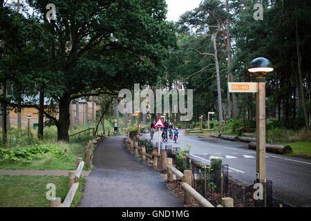 Center Parcs Woburn Wald, neueste Holiday Village Center Parcs UK, befindet sich in Bedfordshire, UK Stockfoto