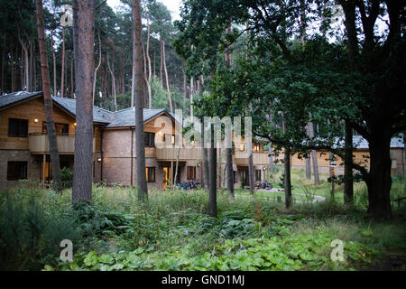 Center Parcs Woburn Wald, neueste Holiday Village Center Parcs UK, befindet sich in Bedfordshire, UK Stockfoto