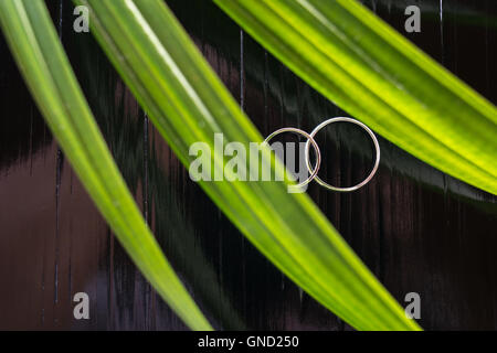 Trauringe auf schwarzer Holztisch mit Palm Leaf Vordergrund. selektiven Fokus. Stockfoto