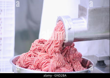 Rindfleisch gehackt Fleisch stammt aus einem Fleischwolf Stockfoto