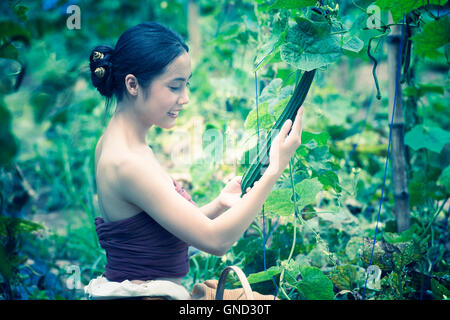 Schöne Frau Asien und Korb Ernte mit Zucchini, Chiangrai Thailand, Vintage-Stil, Hinzufügen von Körnung Stockfoto
