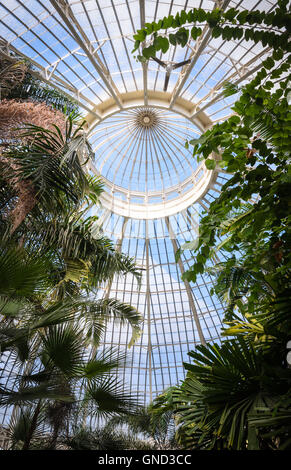 Buffalo und Erie County Botanical Gardens Stockfoto