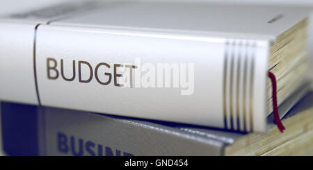 Budget - Business Buchtitel. 3D-Rendering. Stockfoto