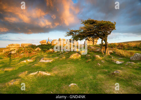 Schönen Abendlicht und einen dramatischen Himmel über Combestone Tor in der Nähe von Hexworthy auf Dartmoor National Park in Devon Stockfoto