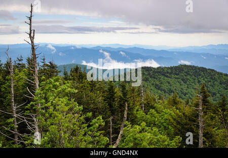 Great Smoky Mountains Nationalpark Stockfoto