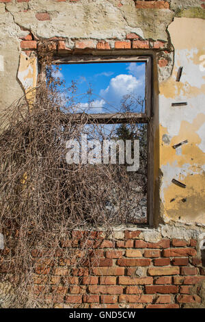 Rahmen eines ehemaligen Fensters in einer sehr beschädigte Wand mit Ziegeln sichtbar. Baum und blauer Himmel mit Wolken im Fenster. Stockfoto