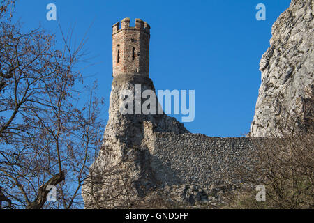 Felsen der ehemaligen Festung mit einem Jungfernturm, Teil der Ruinen der Burg Devin in der Slowakei. Strahlend blauer Himmel. Stockfoto