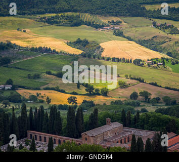 Landschaft vor Montepulciano, Provinz Siena, Toskana, Italien. Weinberge. Stockfoto