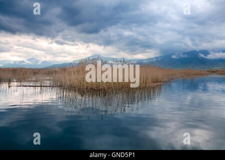 Kleinen Prespa See Naturkulisse, Mazedonien, Griechenland Stockfoto