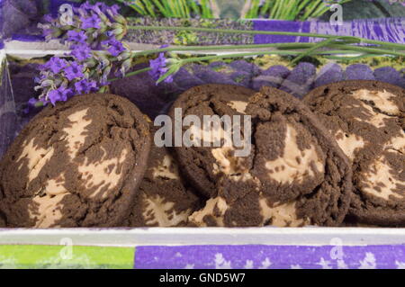 Schokoladen-Plätzchen in Lavendel dekoriert-box Stockfoto