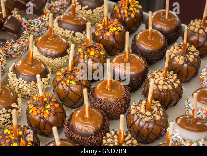 Tablett mit sortierten Auswahl an Liebesäpfel an der State fair Stockfoto