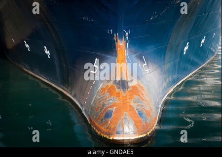 Nahaufnahme eines Bogens Birne (Ram). Stockfoto