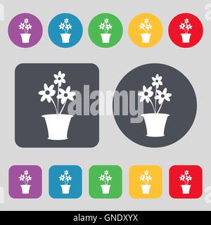 Vase mit Blumen-Symbol Zeichen. Ein Satz von 12 farbige Tasten. Flaches Design. Vektor Stock Vektor