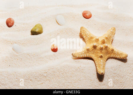 Seesterne und Meer Steinen auf Sand. Sommer Strand Hintergrund Stockfoto