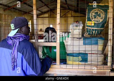 Kenia, Grafschaft Bungoma, Dorf Tongaren, AGROVET-Shop, Verkauf von landwirtschaftlichen Erzeugnissen wie Saatgut, Düngemittel, Pestizide / KENIA AGROVET beladen, Verkauf Saatgut, Tierfutter, Duenger, Medikamente Fuer Tiermedizin Stockfoto