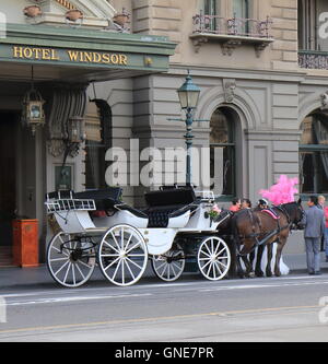 Pferd Kutsche Parks im The Hotel Windsor in Melbourne Australien Stockfoto