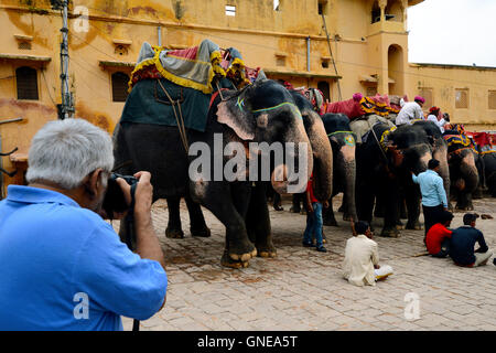 Mann, die Erfassung von Fotos von Elefanten in Amber Fort in Jaipur, Rajasthan, Indien Stockfoto