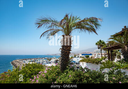 Blick auf schöne tropische Küste mit Palmen rund um. Stockfoto