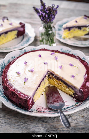 Frisch gebackene Blaubeerkuchen auf Platte Stockfoto