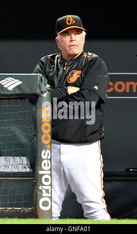 Baltimore, uns. 19. August 2016. Baltimore Orioles Manager Buck Showalter (26) Uhren sein Team Bat im dritten Inning gegen die Houston Astros im Oriole Park at Camden Yards in Baltimore, MD am Freitag, 19. August 2016. Das Astros gewann das Spiel 15: 8. Bildnachweis: Ron Sachs/CNP - NO WIRE SERVICE - © Dpa/Alamy Live-Nachrichten Stockfoto