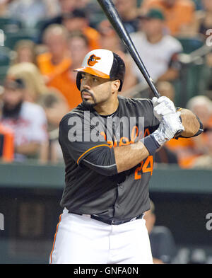 Baltimore, uns. 19. August 2016. Baltimore Orioles bezeichneten Hitter Pedro Alvarez (24) Fledermäuse im dritten Inning gegen die Houston Astros im Oriole Park at Camden Yards in Baltimore, MD Freitag, 19. August 2016. Das Astros gewann das Spiel 15: 8. Bildnachweis: Ron Sachs/CNP - NO WIRE SERVICE - © Dpa/Alamy Live-Nachrichten Stockfoto