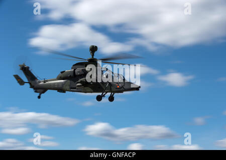 Werdeck, Deutschland. 30. August 2016. Ein Tiger-Hubschrauber der Bundeswehr Kampf Hubschrauber Regiment 36 "Kurhessen" aus Fritzlar schwebt über der Oberlausitz militärische Übungsgelände bei Schießübungen in der Nähe von Werdeck, Deutschland, 30. August 2016. Die Übung fand im Zusammenhang mit einer geplanten Schießübungen mit bewaffneten Waffen. Foto: ARNO BURGI/Dpa/Alamy Live-Nachrichten Stockfoto