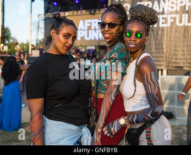 Performances und Fans bei AfroPUnk 2016 Musik- und Kulturfestival Stockfoto